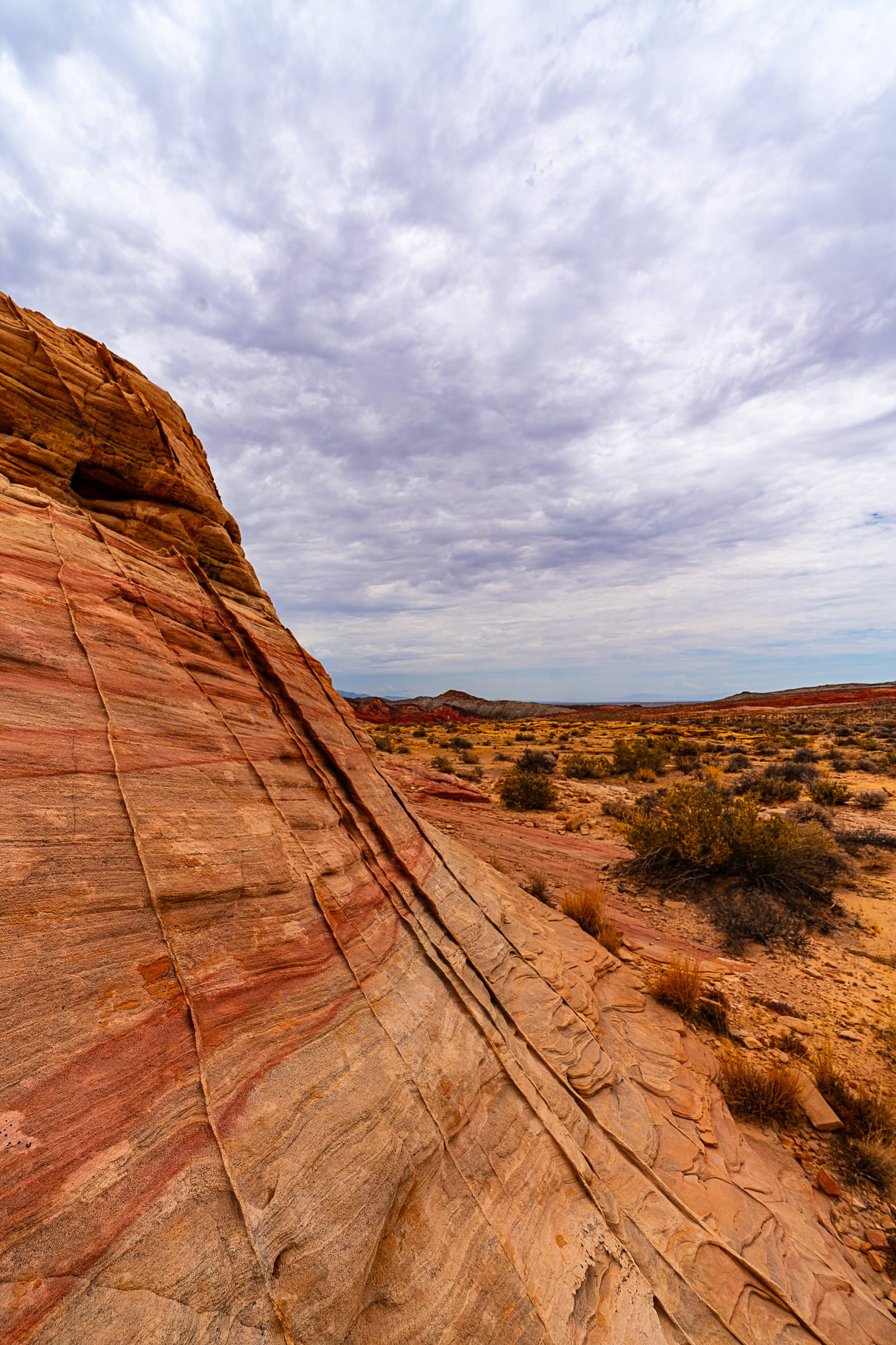 Landscape Photo 2